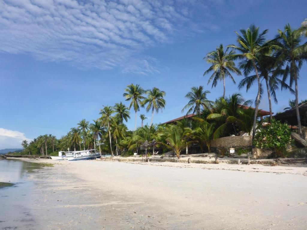 Island View Beachfront Resort Anda  Ngoại thất bức ảnh
